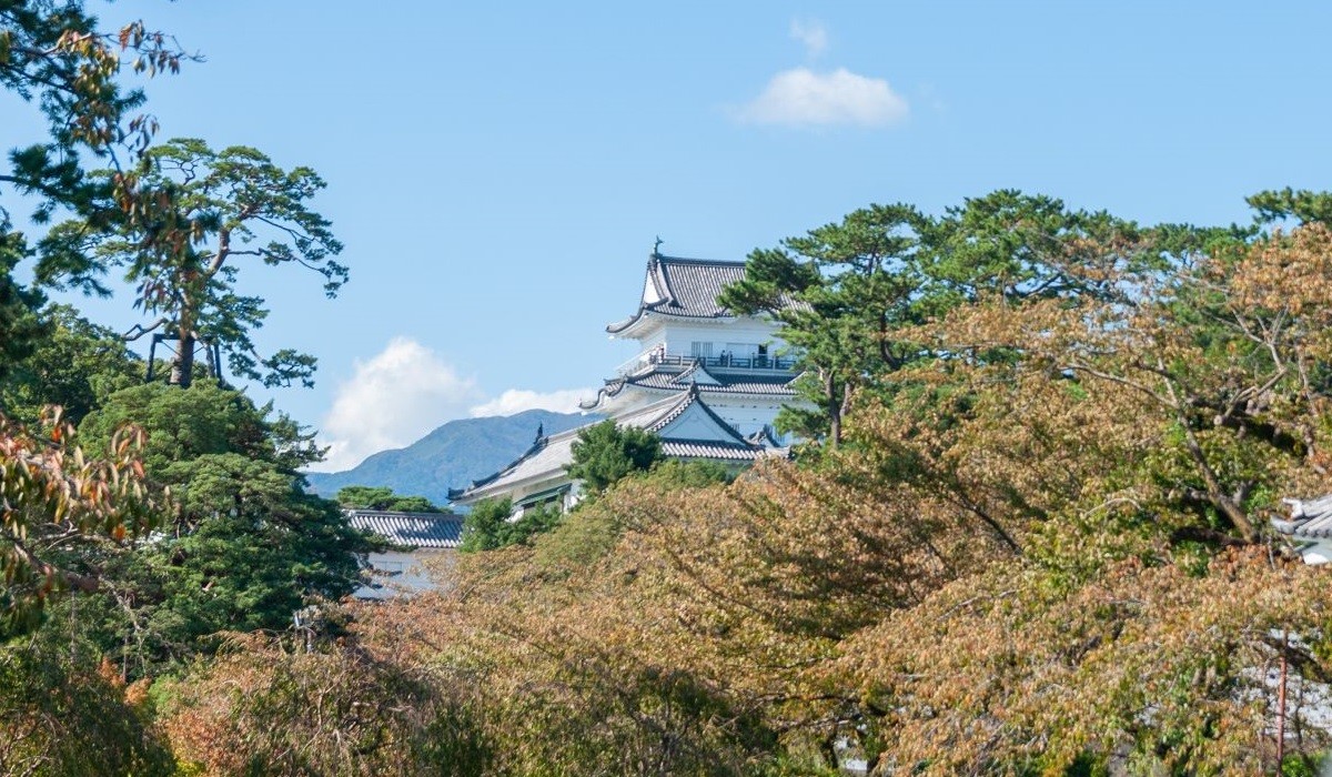 Castelul Odawara Hakone Japonia