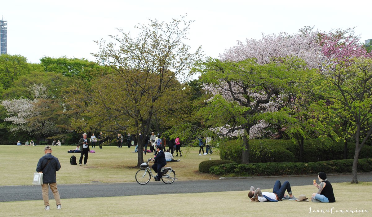 Gradinile de Est ale Palatului Imperial Tokyo