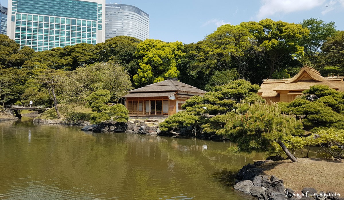 Gradinile Hama Rikyu Tokyo