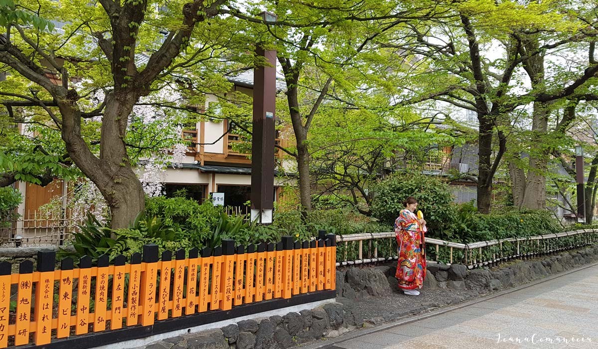 pontocho kyoto