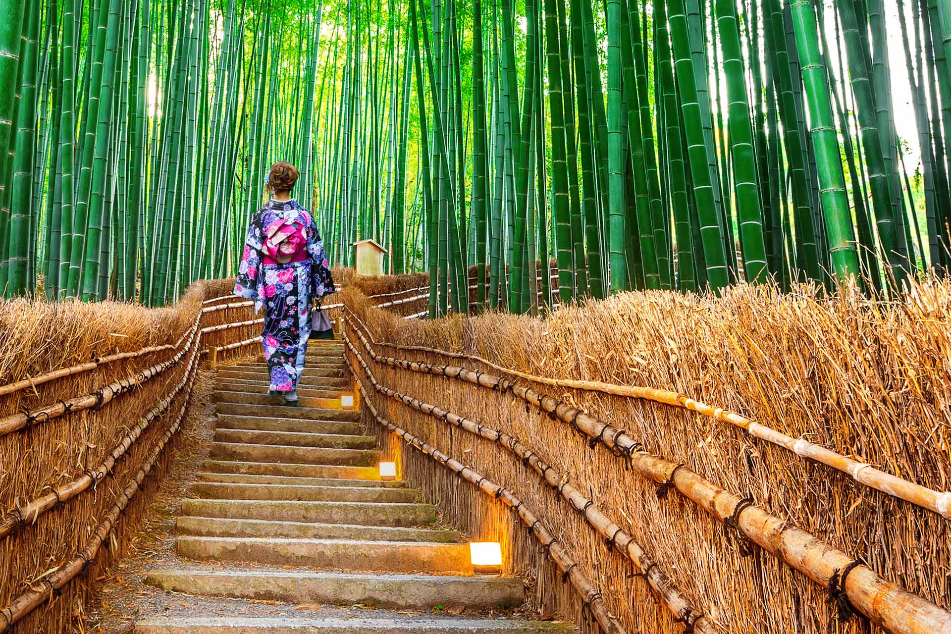 Parcuri uimitoare din Kyoto Japonia traditionala